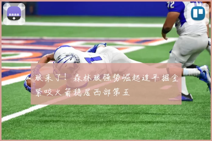 狼来了！森林狼强势崛起追平掘金紧咬火箭稳居西部第五