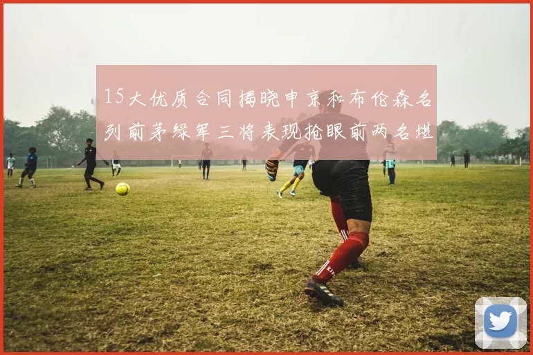 15大优质合同揭晓申京和布伦森名列前茅绿军三将表现抢眼前两名堪称传奇